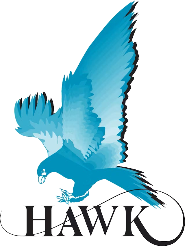 Hawk measurements Logo